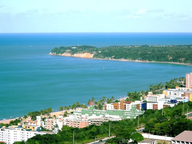Praia do Cabo Branco vista do alto, com o mar esverdeado e a ponta do Cabo Branco coberta de mata ao fundo