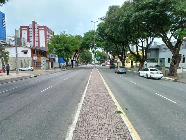 Avenida Presidente Epitácio Pessoa arborizada, no trecho do bairro Miramar