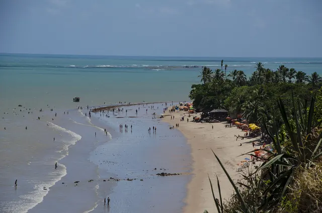 Praia da Ponta do Seixas vista do alto da falésia, com coqueiros, areia e o mar raso