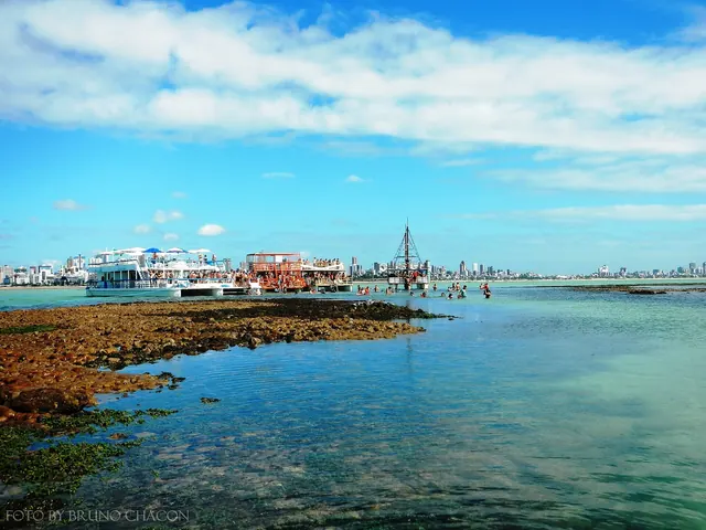 Recife de Picãozinho descoberto na maré baixa, com poças de água clara, barcos de passeio ao longe e os prédios da orla de João Pessoa no horizonte