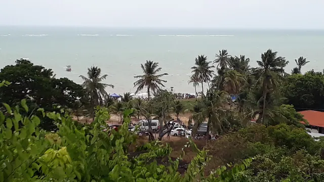 Praia da Penha vista do alto, com mata e coqueiros em primeiro plano, carros estacionados perto da areia e o mar ao fundo