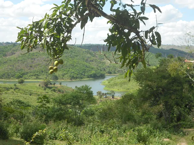 Serras cobertas de mata e um rio na zona rural de Areia, no Brejo paraibano