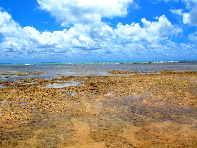 Recifes expostos na maré baixa em Areia Vermelha, com poças de água e céu com nuvens