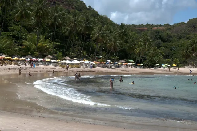 Praia de Coqueirinho com guarda-sóis na areia e a mata da encosta ao fundo