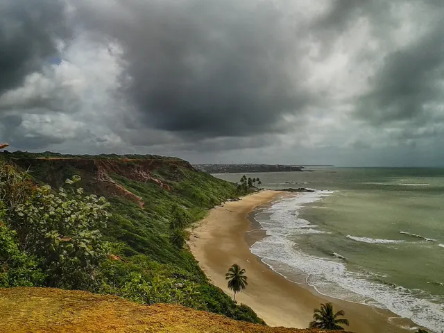 Praia de Coqueirinho vista do alto da falésia, com coqueiros e céu nublado