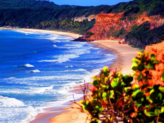 Falésias vermelhas e mar azul na Praia da Pipa