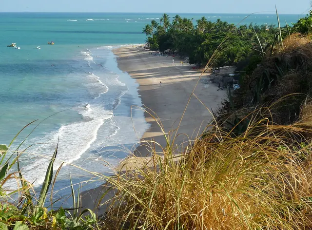 Praia da Ponta do Seixas vista do alto da falésia, com mata, ondas e mar azul