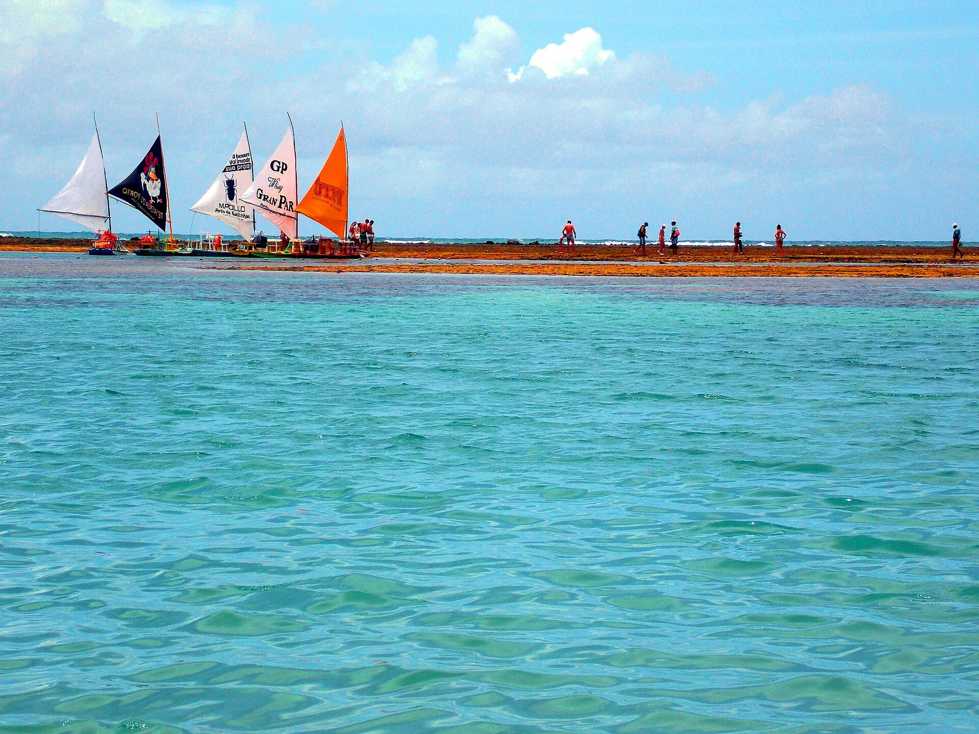 Jangadas de velas coloridas na beira dos recifes das piscinas naturais de Porto de Galinhas
